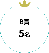 B賞 5名